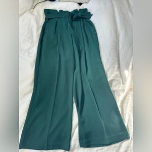 Express HR SIDE SASH WIDE LEG DRAPEY STRETCH TWILL:JUNE BUG:10 REG